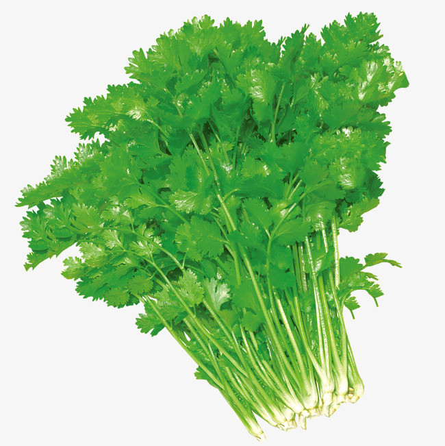 香菜香精